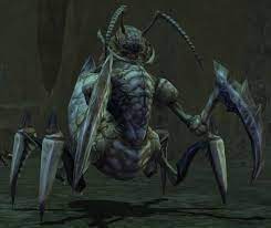 Queen Ant